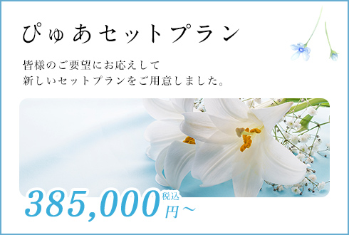 ぴゅあセットプラン